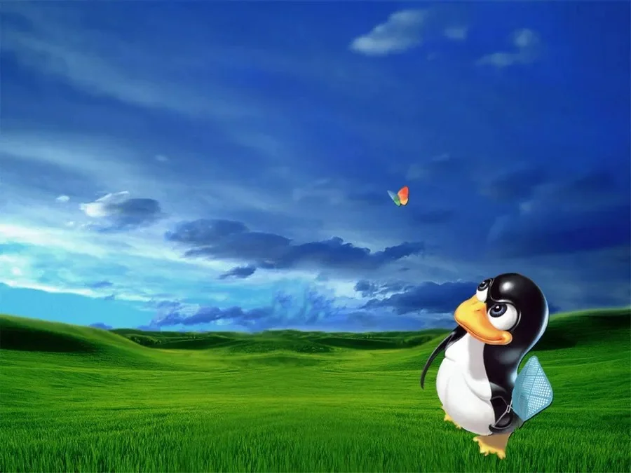 1746799651232.webp