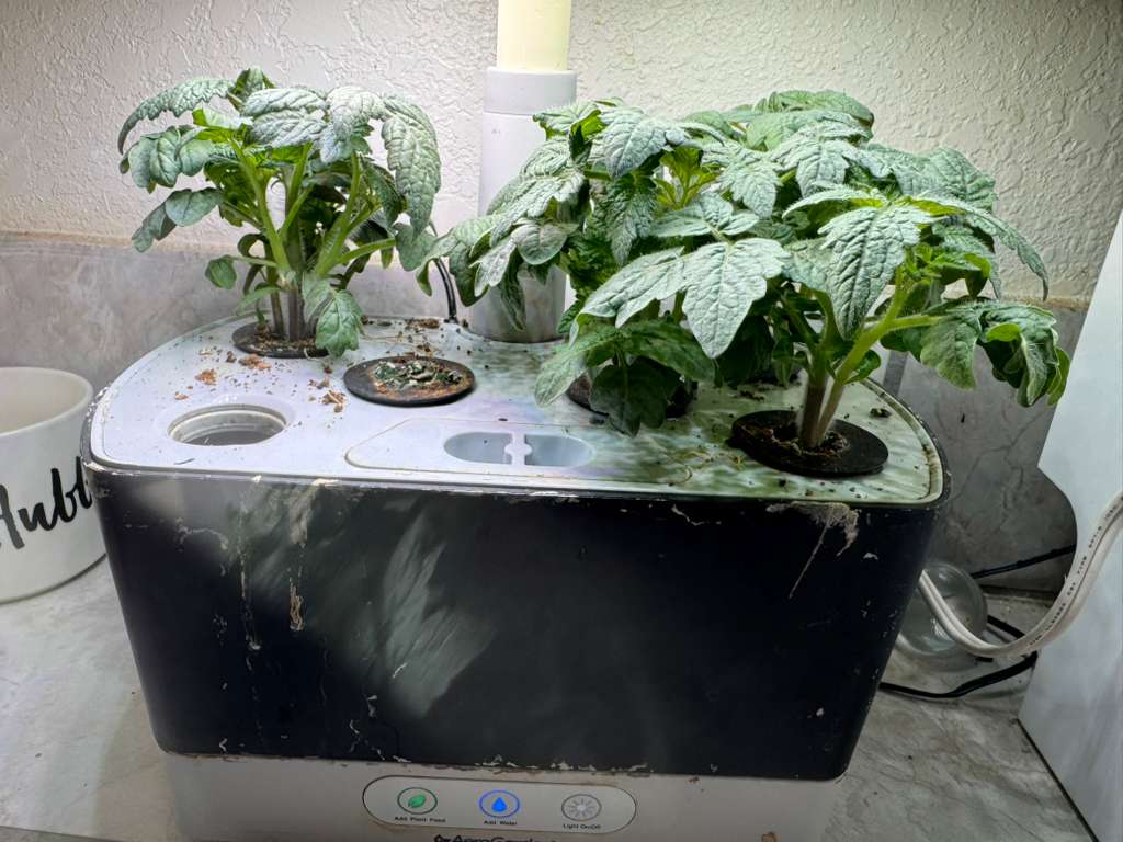 Aerogarden.jpeg