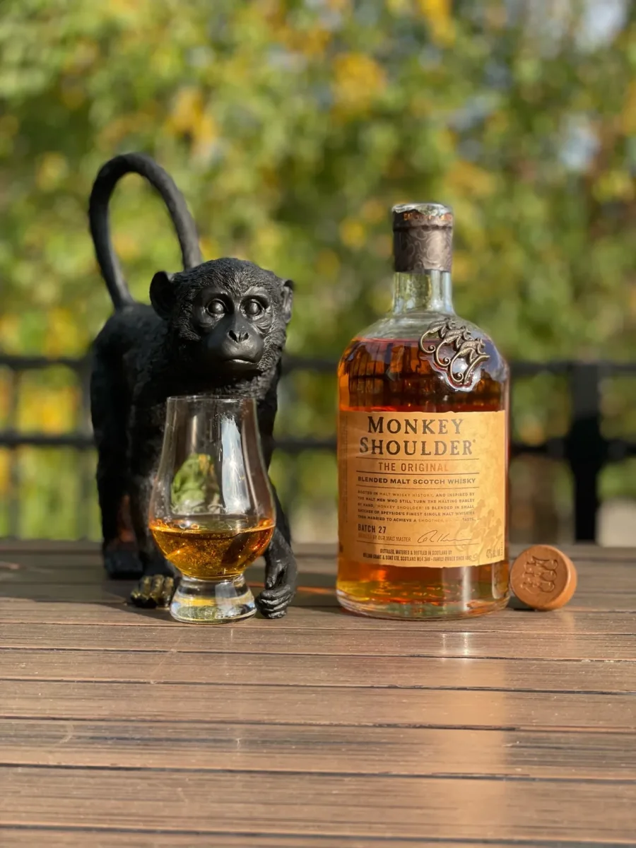 monkey.webp