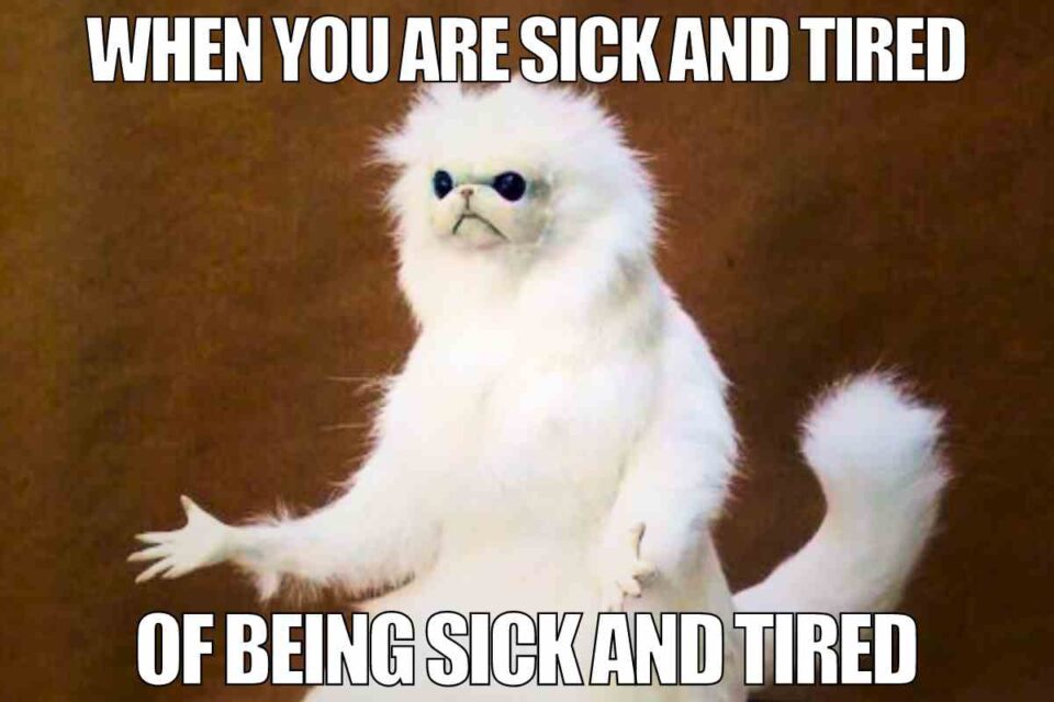 sick-and-tired-meme-960x640-2365665165.jpg