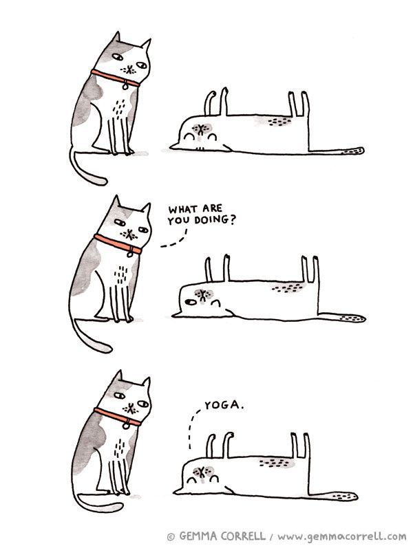 yoga.jpeg