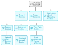 3.webp