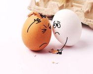 istockphoto-1212338933-612x612 (1).jpg