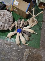 597817992_122241534248160605_6261280694603364482_n (1).jpg